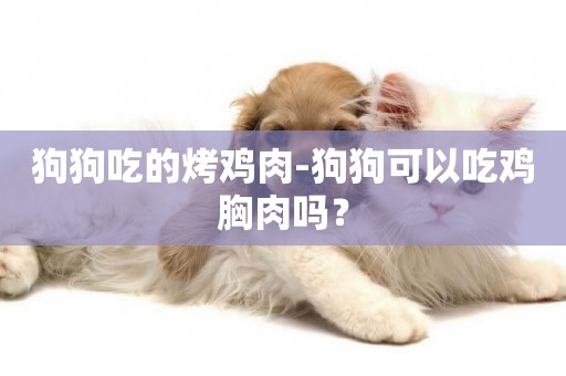 狗狗吃的烤雞肉-狗狗可以吃雞胸肉嗎？