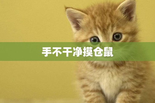手不干凈摸倉鼠