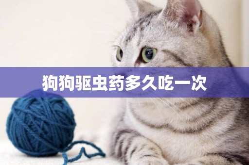 狗狗驅蟲藥多久吃一次
