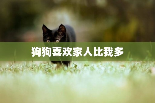 狗狗喜歡家人比我多
