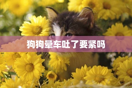 狗狗暈車吐了要緊嗎