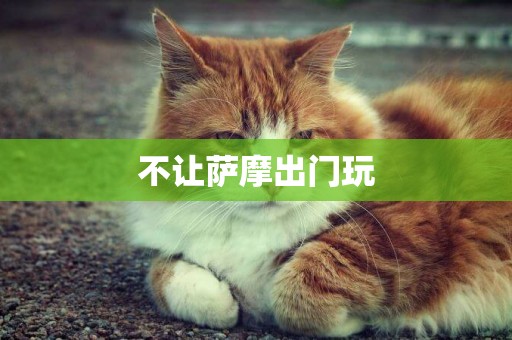 不讓薩摩出門玩