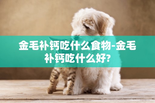 金毛補鈣吃什么食物-金毛補鈣吃什么好?