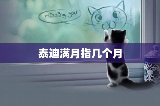 泰迪滿月指幾個月