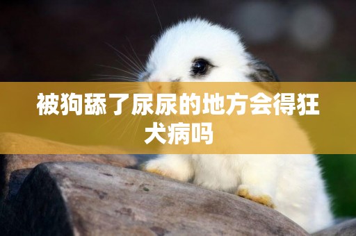 被狗舔了尿尿的地方會得狂犬病嗎