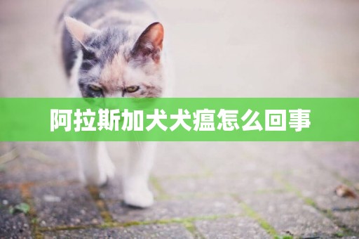 阿拉斯加犬犬瘟怎么回事