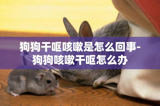 狗狗干嘔咳嗽是怎么回事-狗狗咳嗽干嘔怎么辦