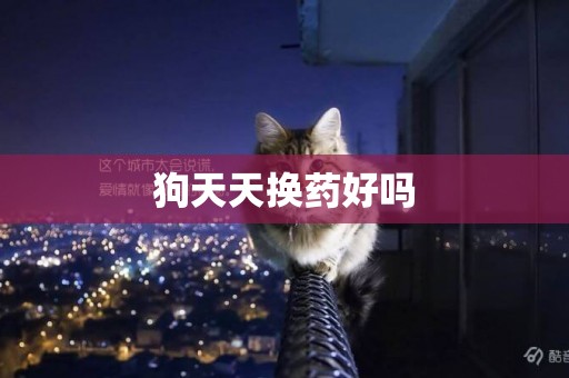 狗天天換藥好嗎