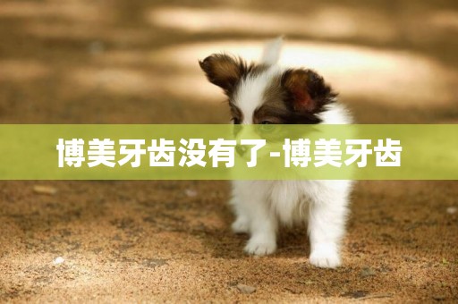 博美牙齒沒有了-博美牙齒