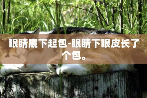 眼睛底下起包-眼睛下眼皮長了個包。
