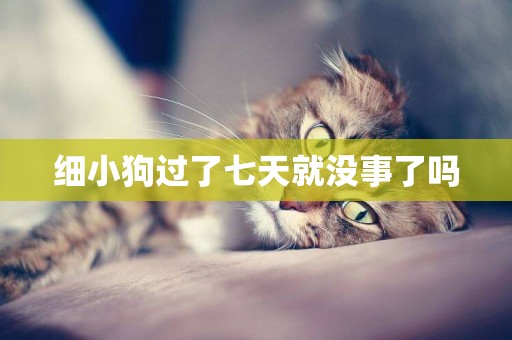 細小狗過了七天就沒事了嗎