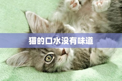 貓的口水沒有味道