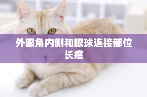 外眼角內側和眼球連接部位長瘩