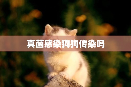 真菌感染狗狗傳染嗎