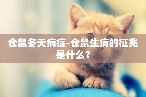 倉鼠冬天病癥-倉鼠生病的征兆是什么？