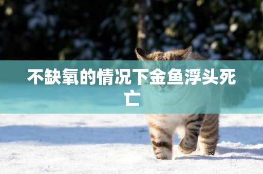 不缺氧的情況下金魚浮頭死亡