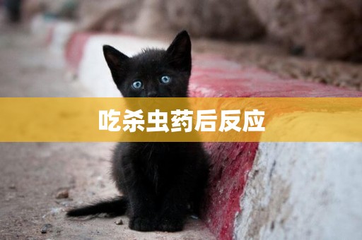 吃殺蟲藥后反應