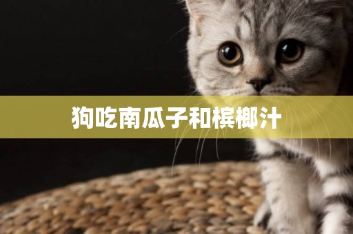 狗吃南瓜子和檳榔汁