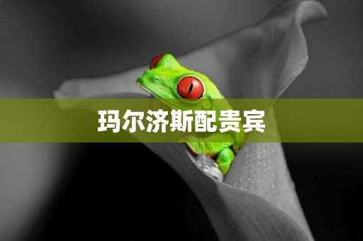 瑪爾濟斯配貴賓