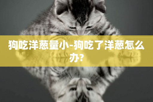 狗吃洋蔥量小-狗吃了洋蔥怎么辦?