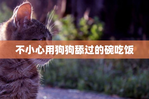 不小心用狗狗舔過的碗吃飯