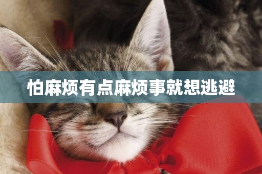 怕麻煩有點麻煩事就想逃避