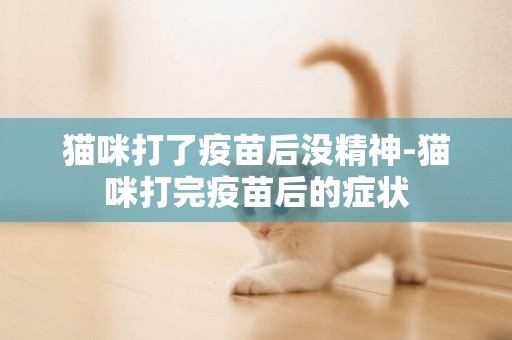 貓咪打了疫苗后沒精神-貓咪打完疫苗后的癥狀