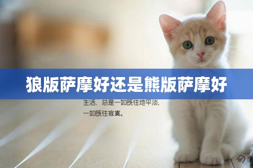 狼版薩摩好還是熊版薩摩好