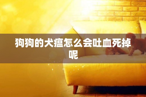 狗狗的犬瘟怎么會吐血死掉呢