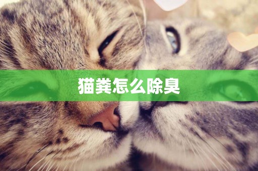 貓糞怎么除臭