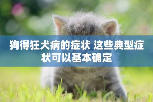 狗得狂犬病的癥狀 這些典型癥狀可以基本確定