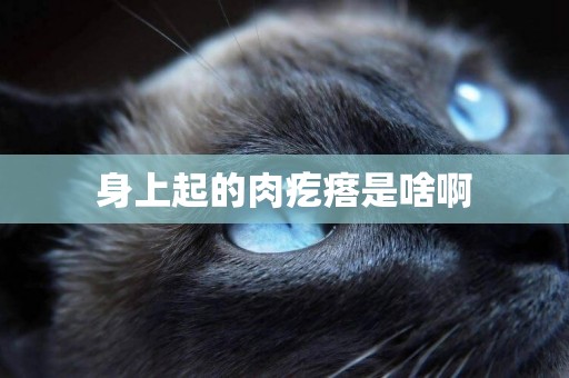 身上起的肉疙瘩是啥啊