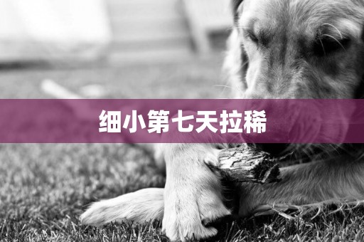 細小第七天拉稀