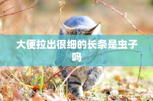 大便拉出很細的長條是蟲子嗎