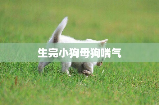 生完小狗母狗喘氣