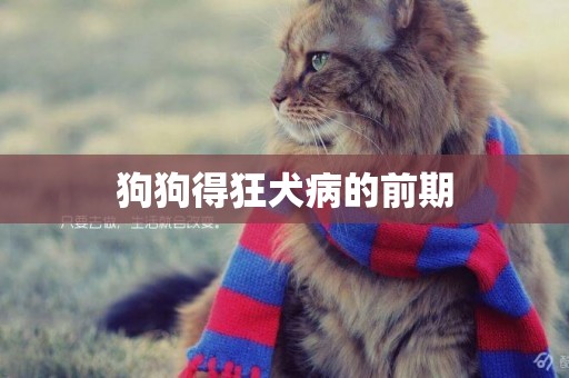 狗狗得狂犬病的前期