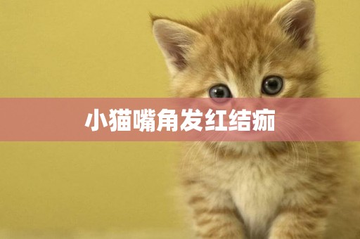 小貓嘴角發紅結痂