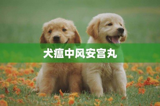 犬瘟中風安宮丸