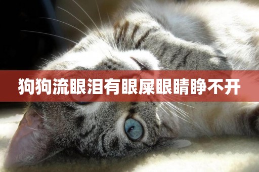 狗狗流眼淚有眼屎眼睛睜不開