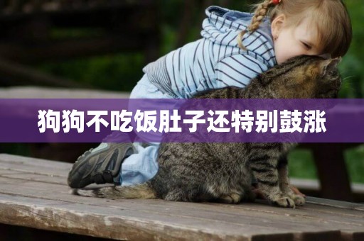 狗狗不吃飯肚子還特別鼓漲