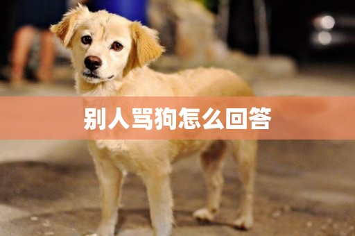 別人罵狗怎么回答
