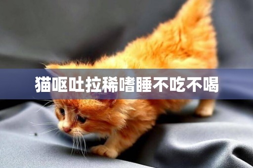 貓嘔吐拉稀嗜睡不吃不喝