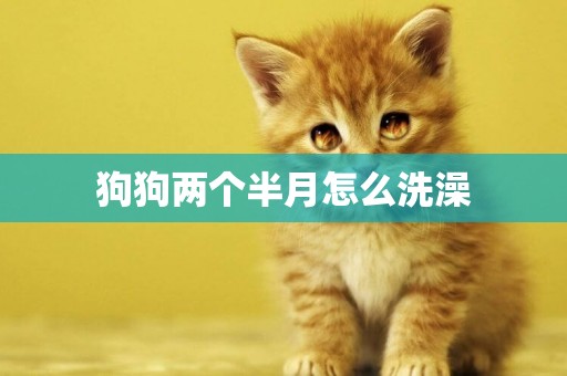 狗狗兩個半月怎么洗澡