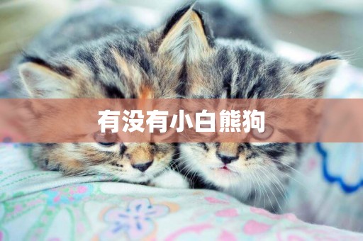 有沒有小白熊狗
