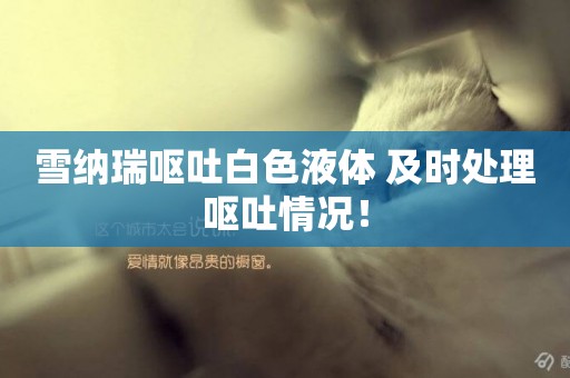 雪納瑞嘔吐白色液體 及時處理嘔吐情況！