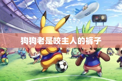 狗狗老是咬主人的褲子