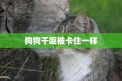 狗狗干嘔被卡住一樣