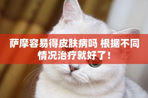 薩摩容易得皮膚病嗎 根據不同情況治療就好了！