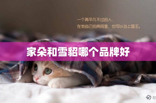 家朵和雪貂哪個品牌好