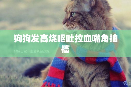 狗狗發高燒嘔吐拉血嘴角抽搐